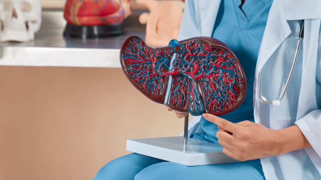 Tirzepatida e Saúde do Fígado: Combate à Esteatose Hepática