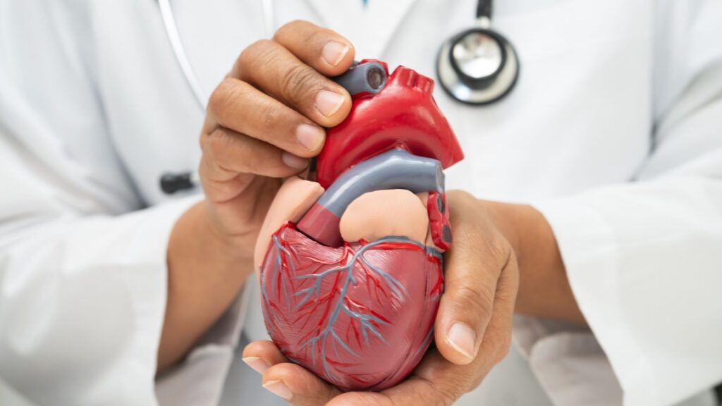 Descubra como a Tirzepatida pode ajudar na prevenção de doenças cardiovasculares e no emagrecimento saudável com a Dra Camila.